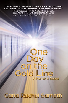 book cover of One Day on the Gold Line